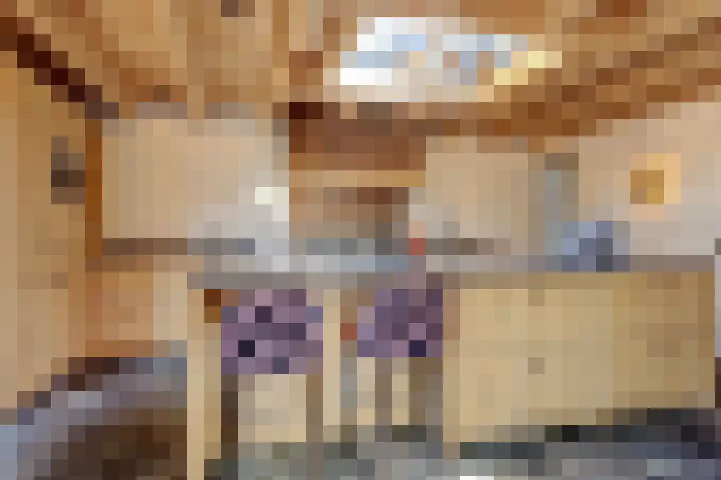 Kerkplein 14 Hippolytushoef thumbnail 22