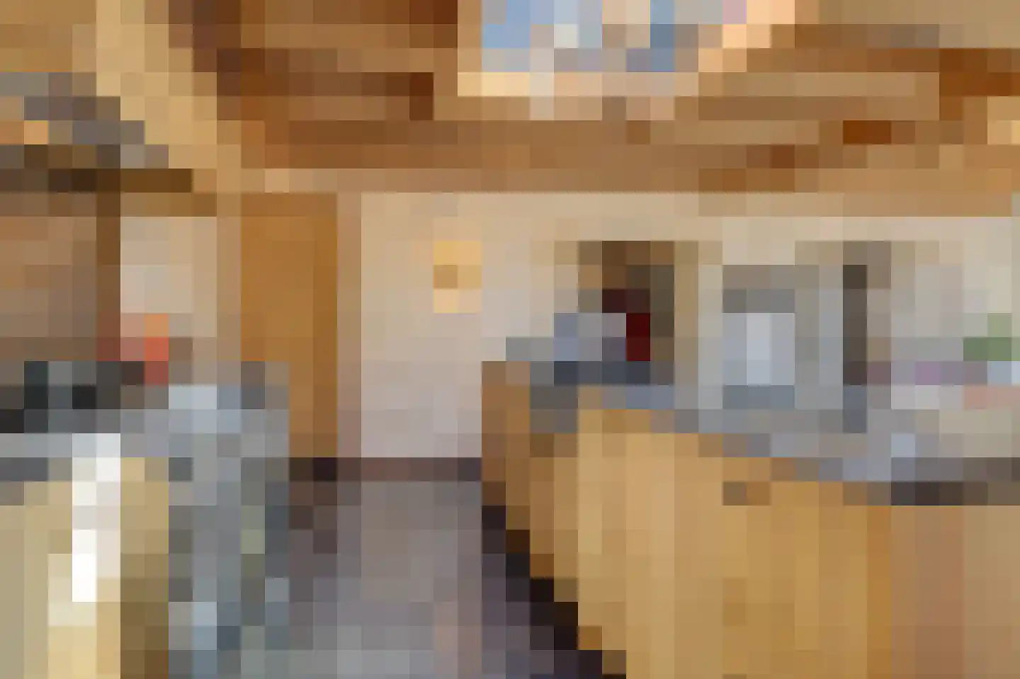 Kerkplein 14 Hippolytushoef thumbnail 23