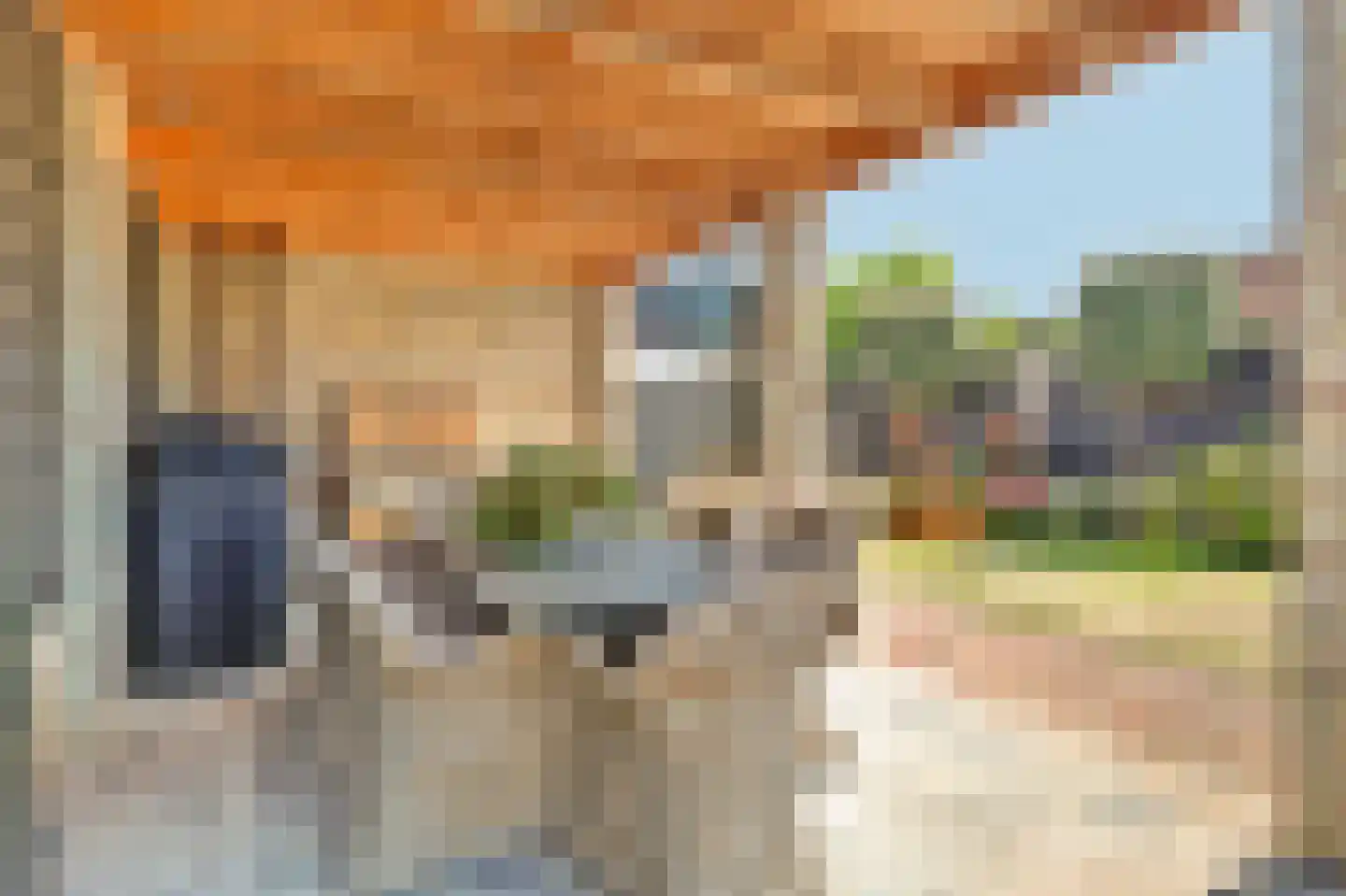Kerkplein 14 Hippolytushoef thumbnail 44
