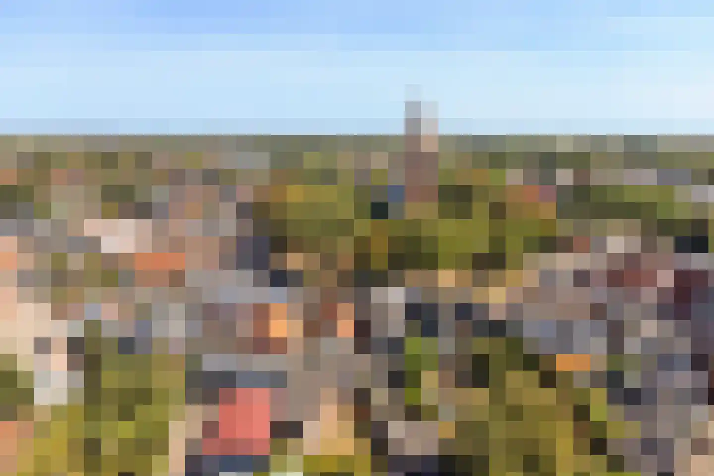 Kerkplein 14 Hippolytushoef thumbnail 57