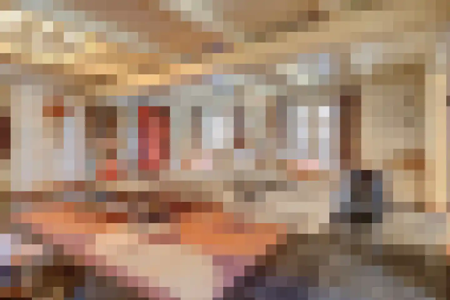 Kerkplein 14 Hippolytushoef thumbnail 8