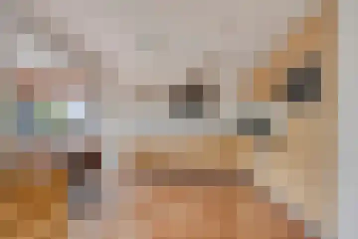 Kerkplein 14 Ruurlo thumbnail 20