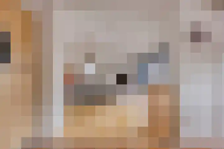 Kerkplein 14 Ruurlo thumbnail 23