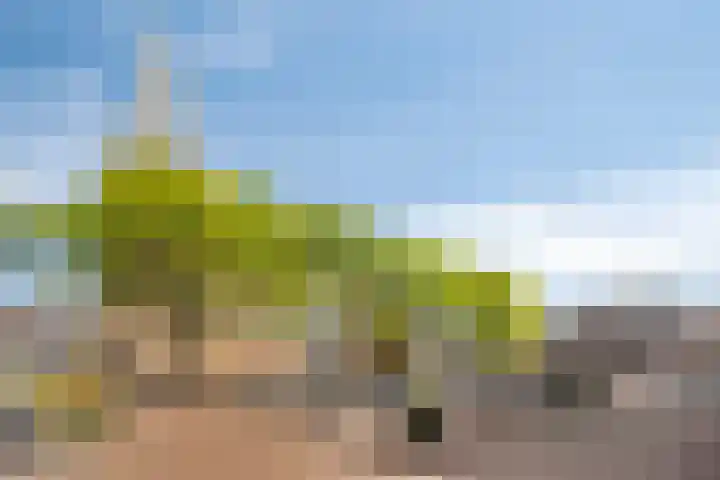 Kerkplein 14 Ruurlo thumbnail 42