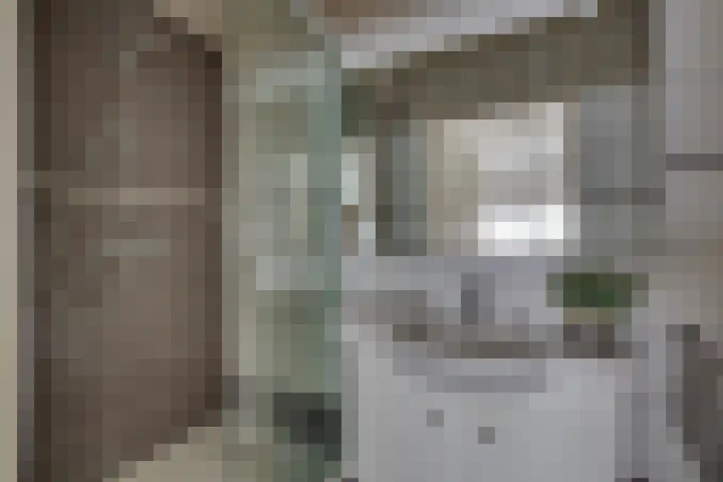 Kerkplein 15 D Dalfsen thumbnail 29