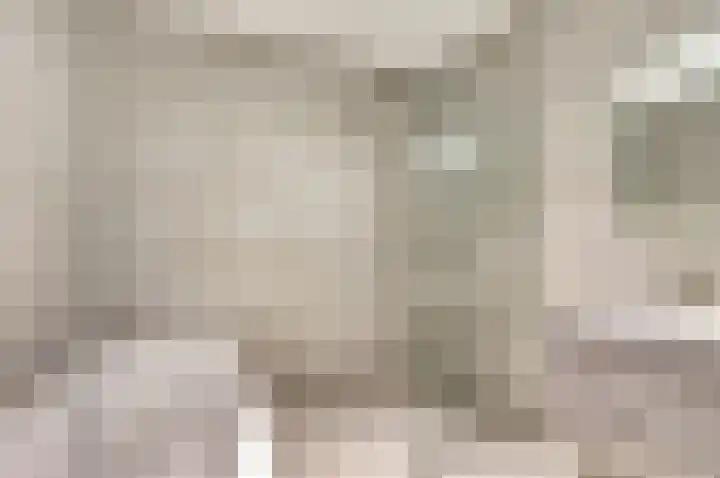 Kerkplein 15 Raamsdonk thumbnail 15