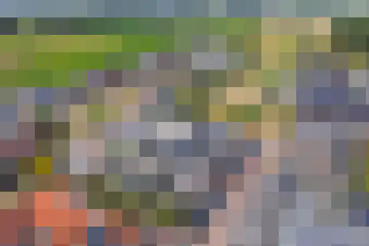 Kerkplein 15 Raamsdonk thumbnail 38
