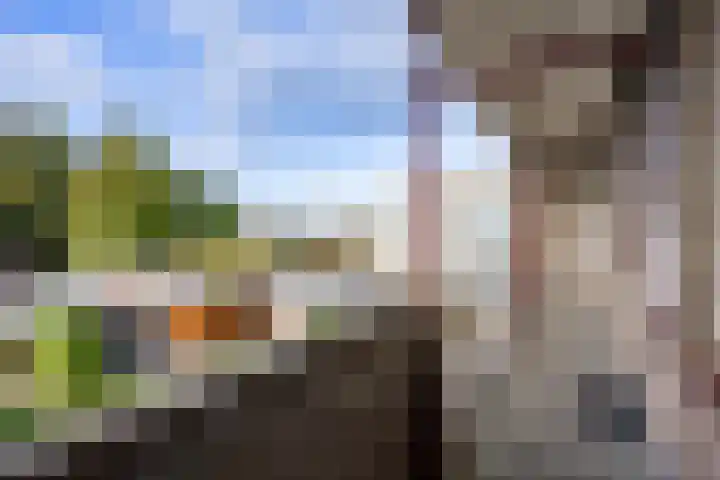 Kerkplein 16 Uithuizen thumbnail 32
