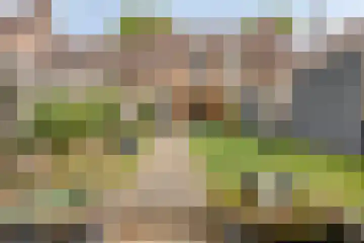 Kerkplein 18 Herkenbosch thumbnail 27