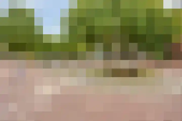 Kerkplein 18 Herkenbosch thumbnail 28