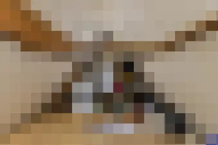 Kerkplein 19 Hoorn thumbnail 25