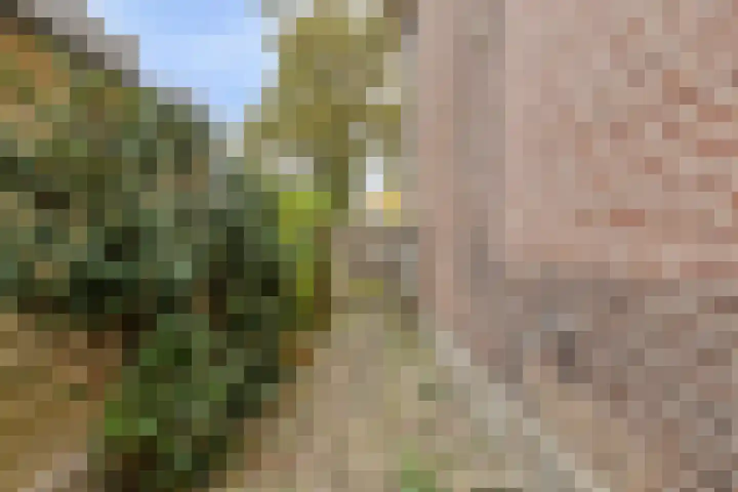 Kerkplein 2 Ammerstol thumbnail 35