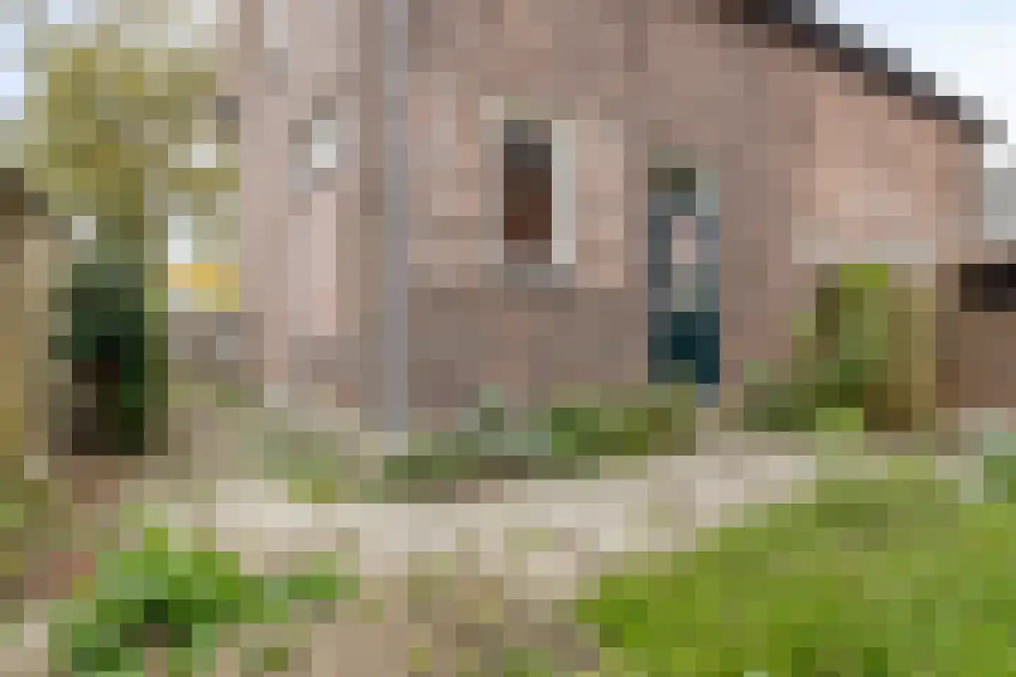 Kerkplein 2 Ammerstol thumbnail 38