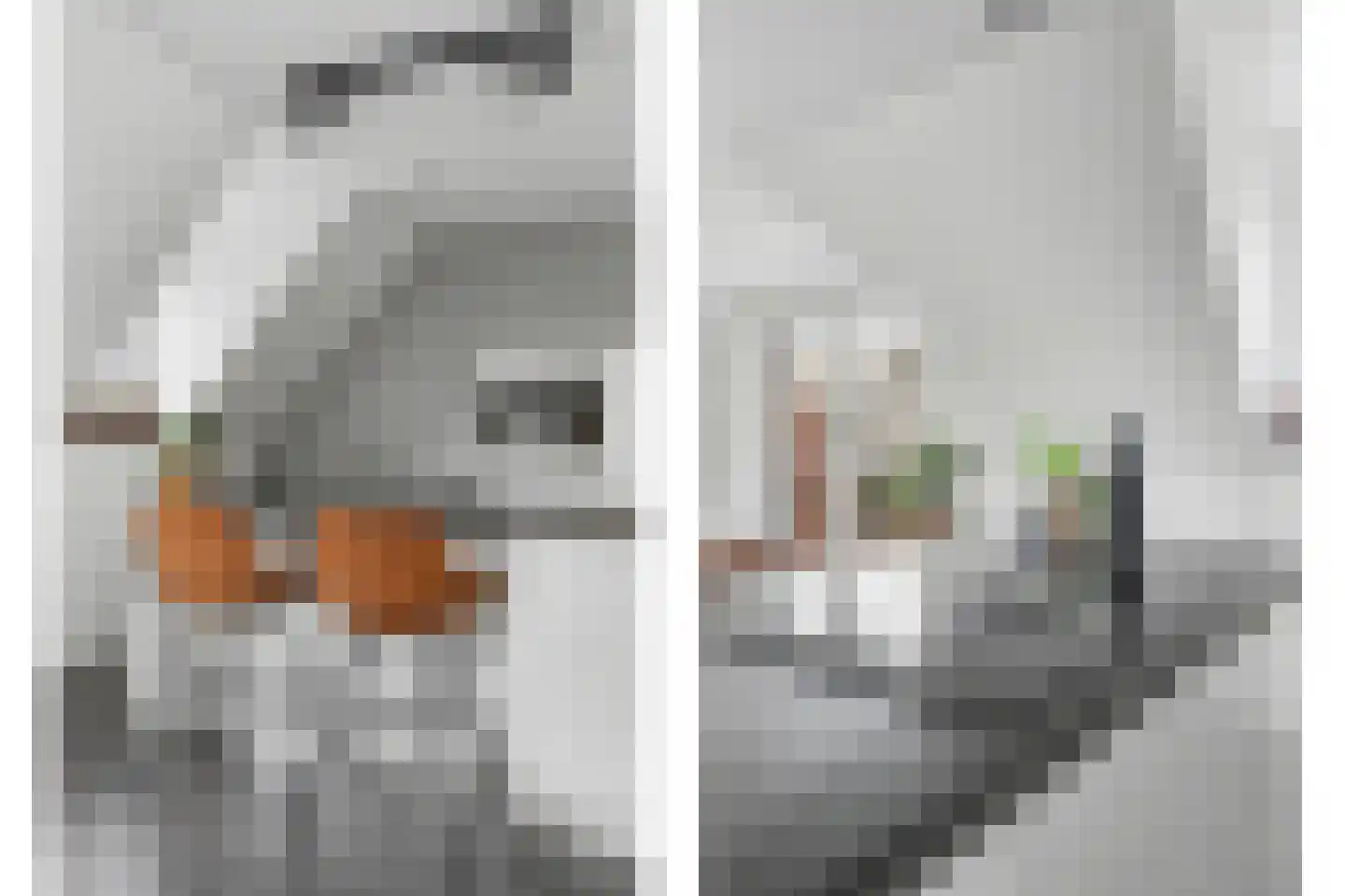 Kerkplein 2 B Baarle-Nassau thumbnail 18