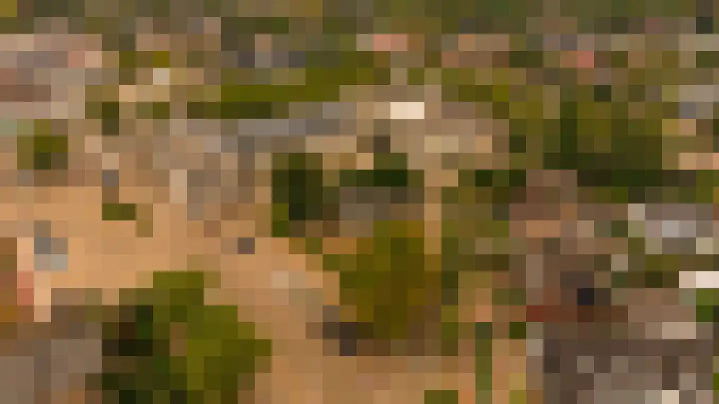 Kerkplein 2 Malden thumbnail 16