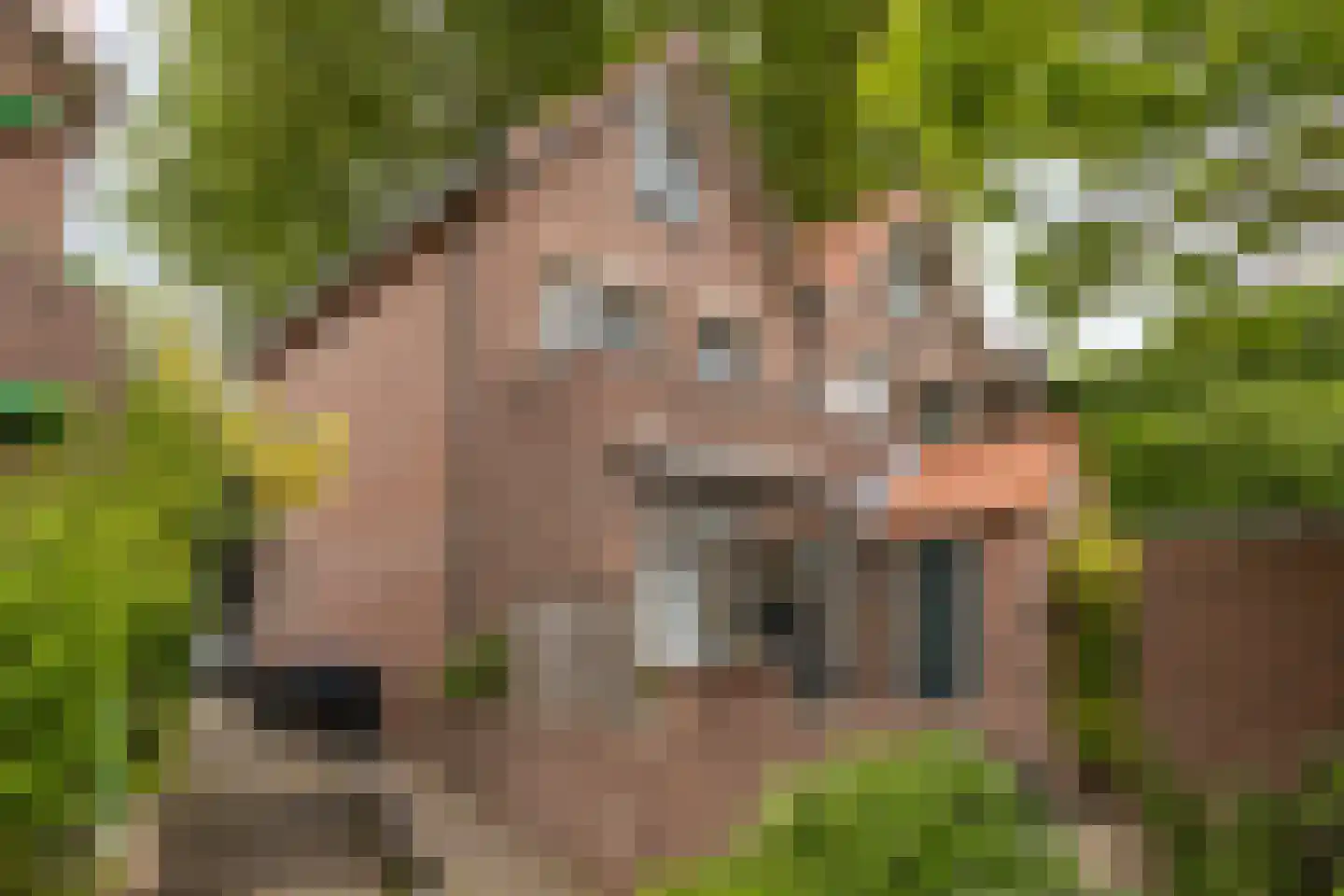 Kerkplein 2 Meerkerk thumbnail 36
