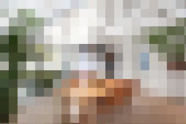 Kerkplein 24 Oisterwijk thumbnail 12