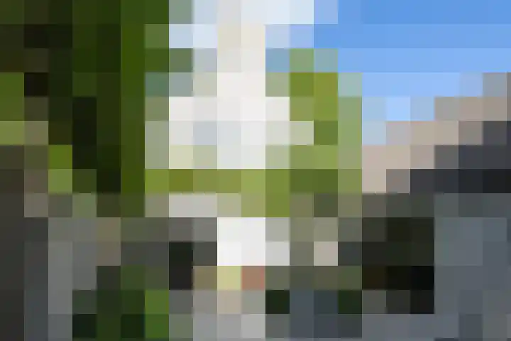 Kerkplein 24 Oisterwijk thumbnail 24