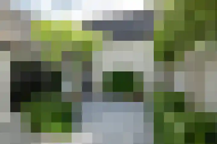 Kerkplein 24 Oisterwijk thumbnail 25