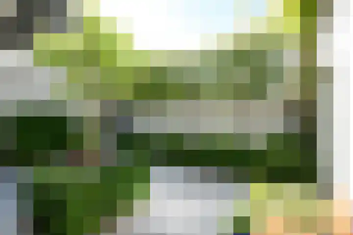 Kerkplein 24 Oisterwijk thumbnail 27