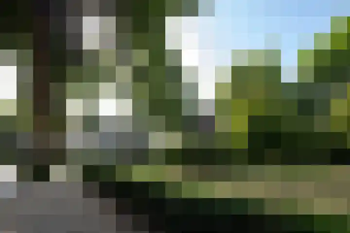 Kerkplein 24 Oisterwijk thumbnail 28