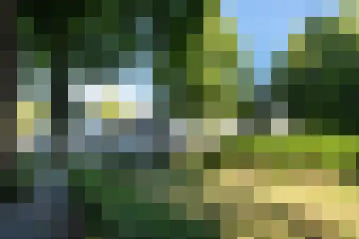 Kerkplein 24 Oisterwijk thumbnail 29