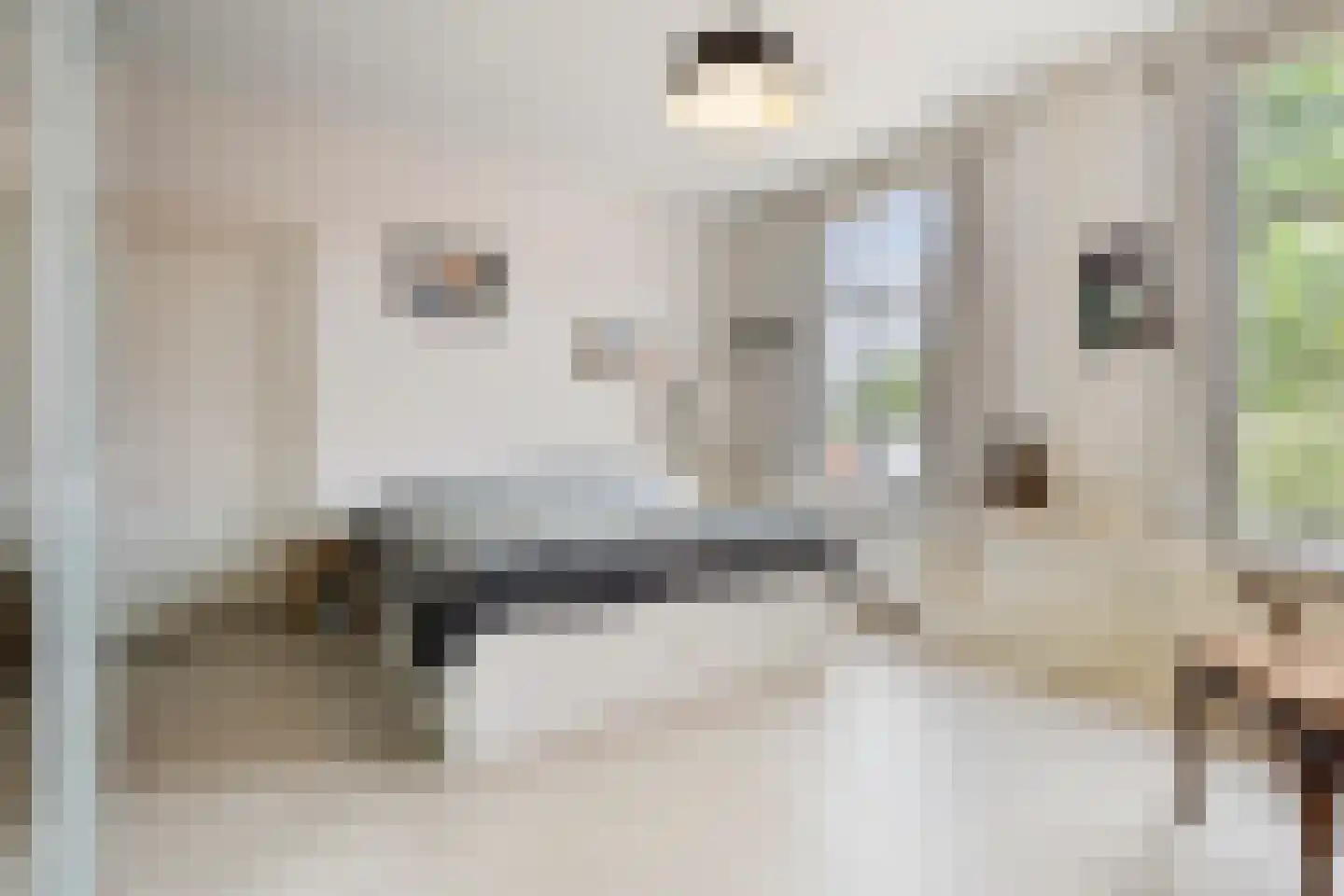 Kerkplein 26 Abcoude thumbnail 29
