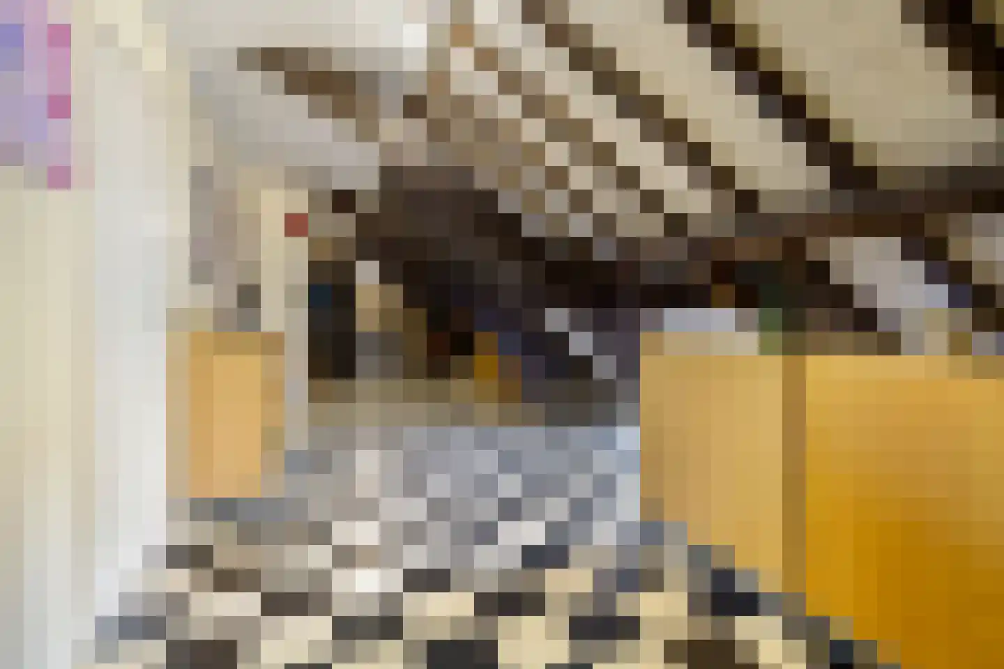 Kerkplein 26 Abcoude thumbnail 37