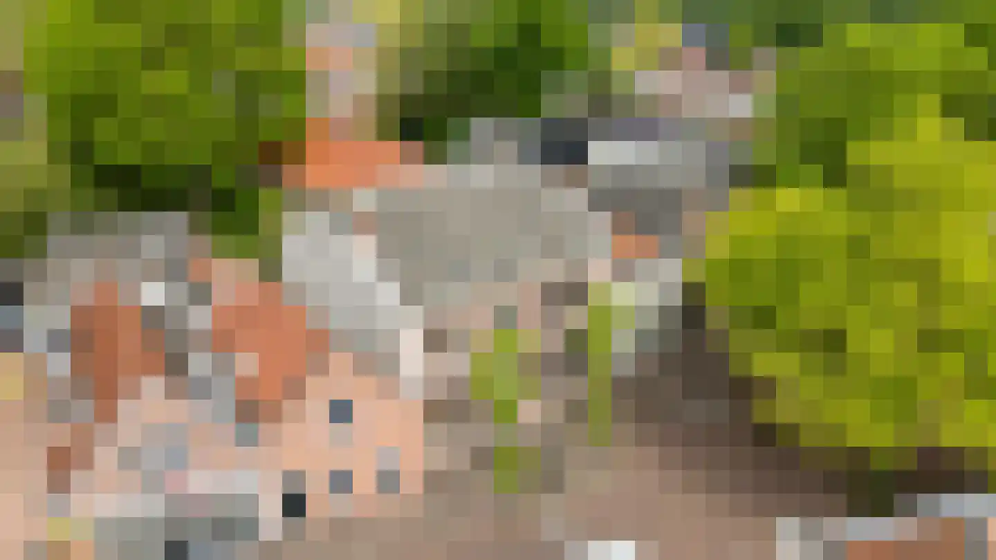 Kerkplein 26 Abcoude thumbnail 4