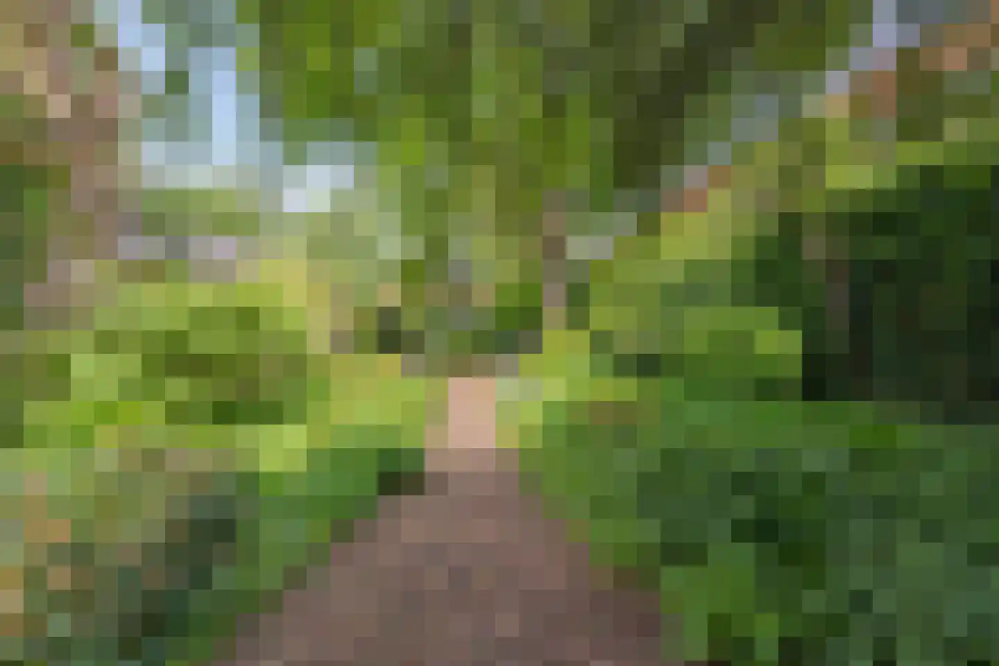 Kerkplein 26 Abcoude thumbnail 46