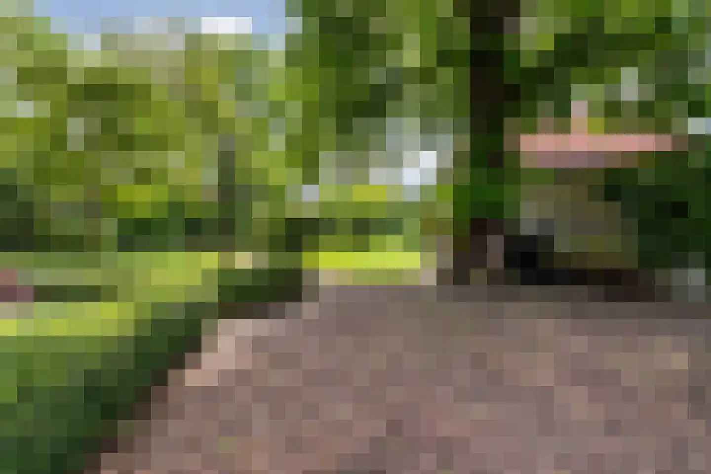 Kerkplein 26 Abcoude thumbnail 53