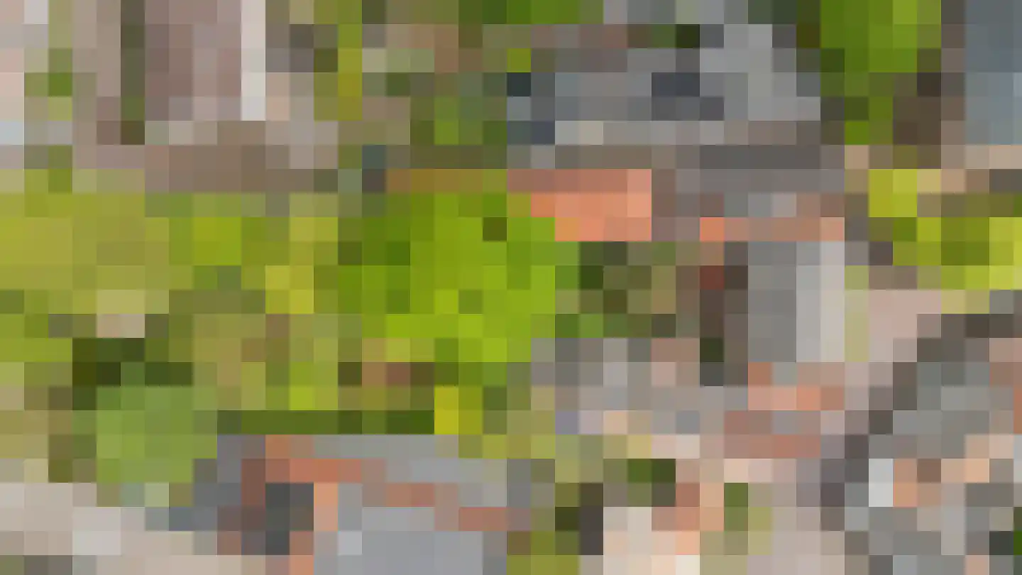 Kerkplein 26 Abcoude thumbnail 60
