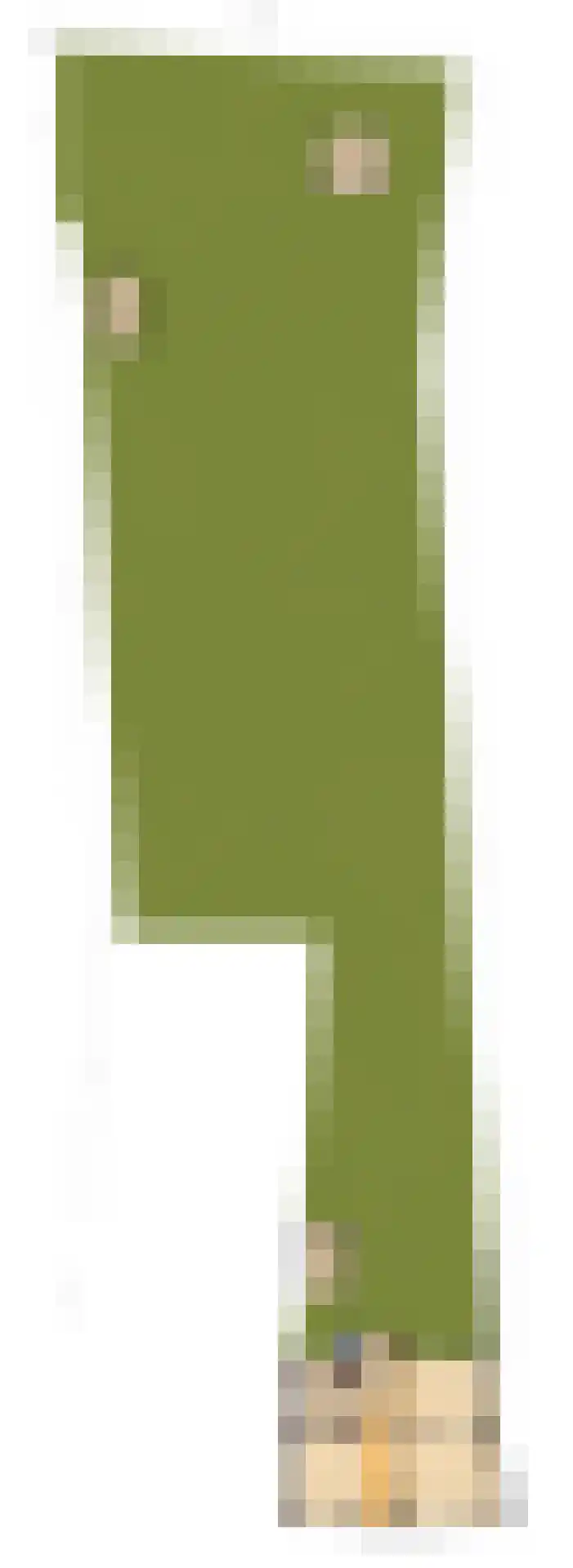 Kerkplein 26 Abcoude thumbnail 68