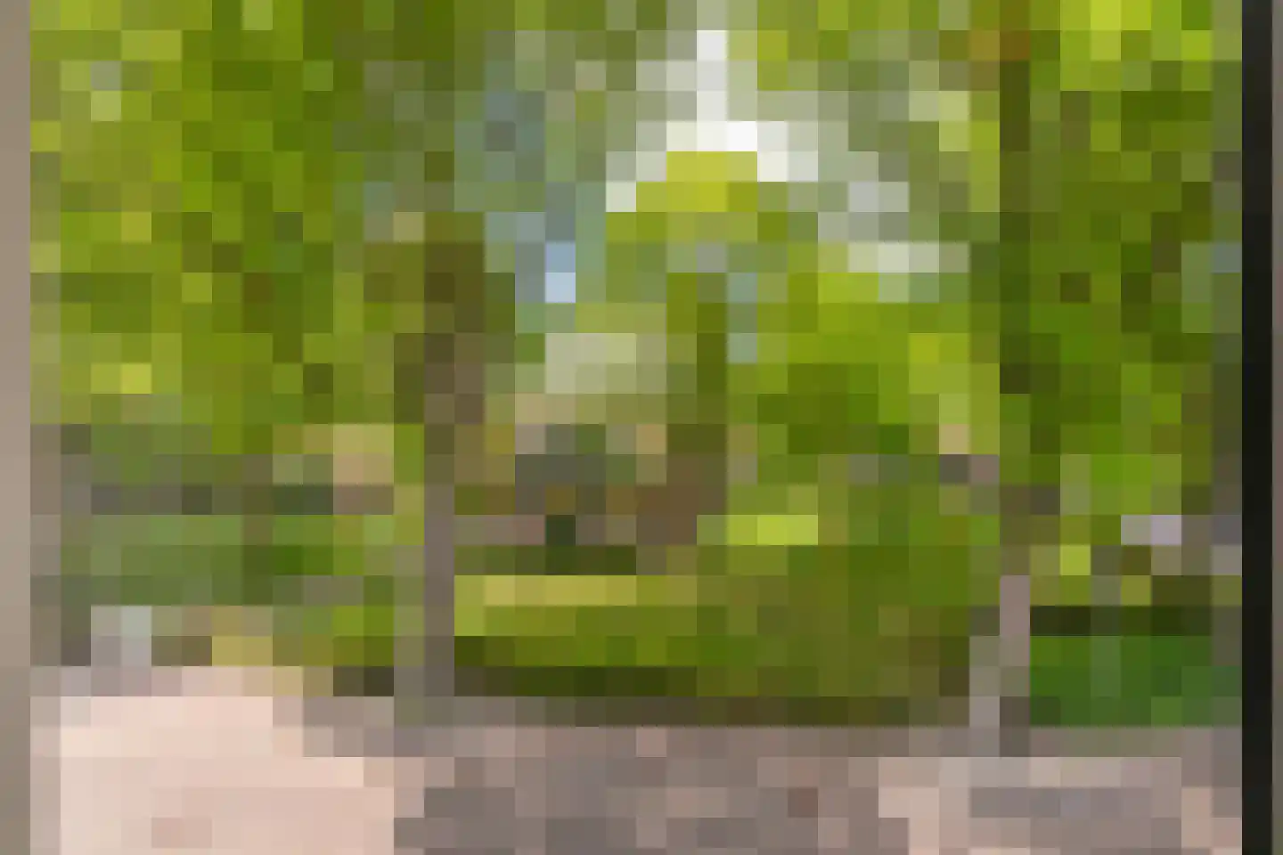 Kerkplein 28 Biggekerke thumbnail 22