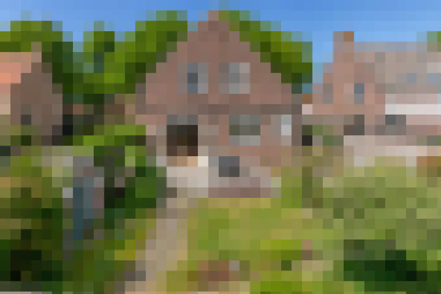 Kerkplein 28 Biggekerke thumbnail 33