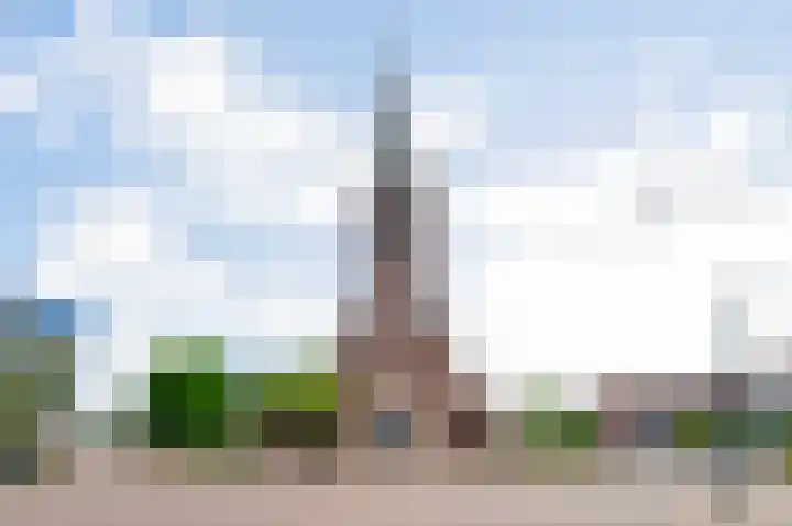 Kerkplein 3 Haelen thumbnail 47