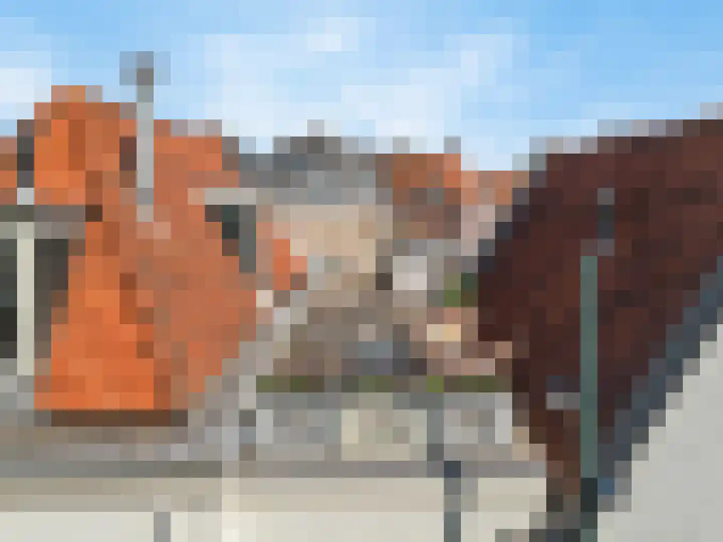 Kerkplein 30 A Hoorn thumbnail 10