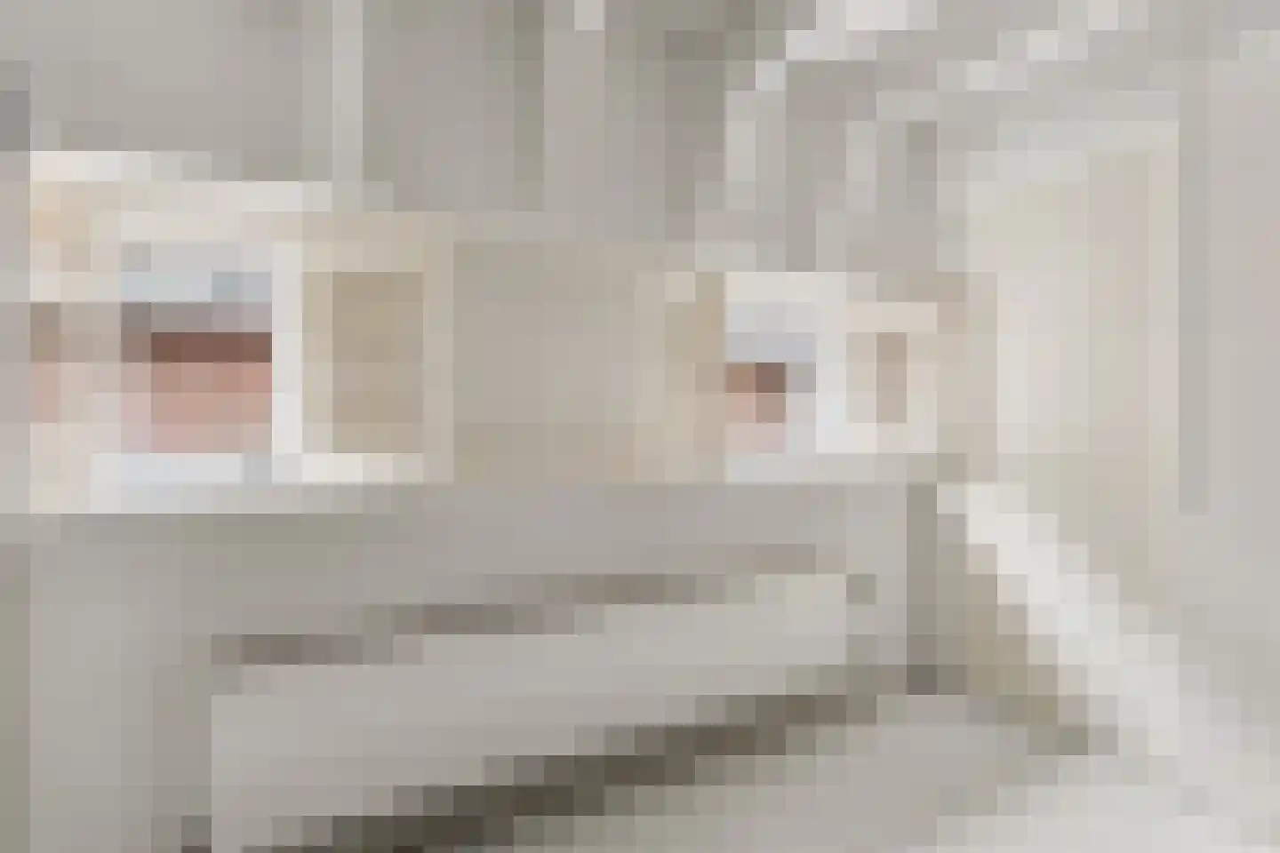 Kerkplein 30 Abcoude thumbnail 18