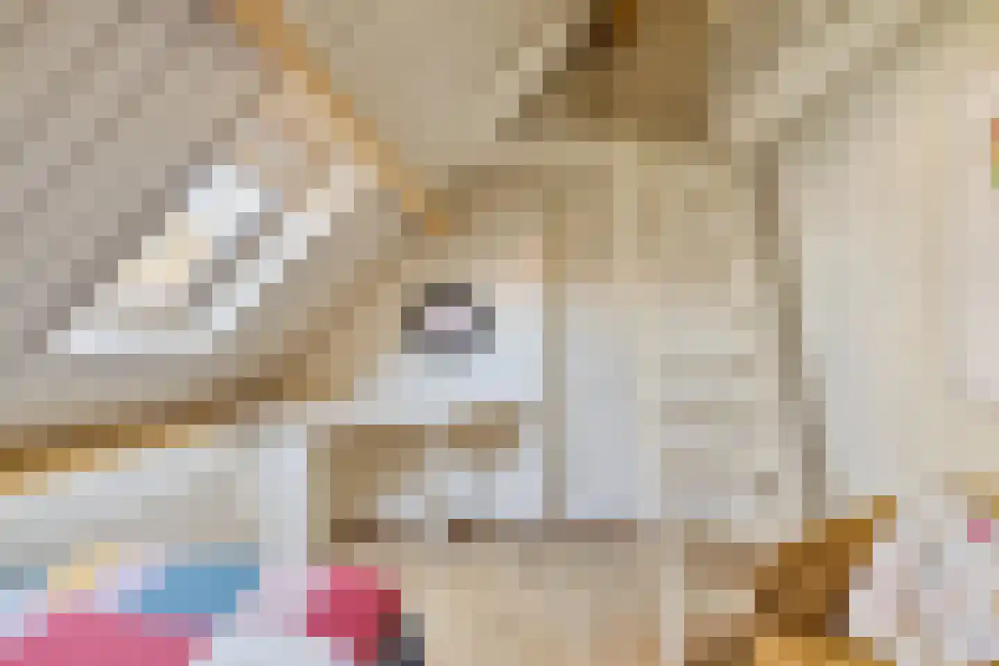 Kerkplein 30 Biggekerke thumbnail 39
