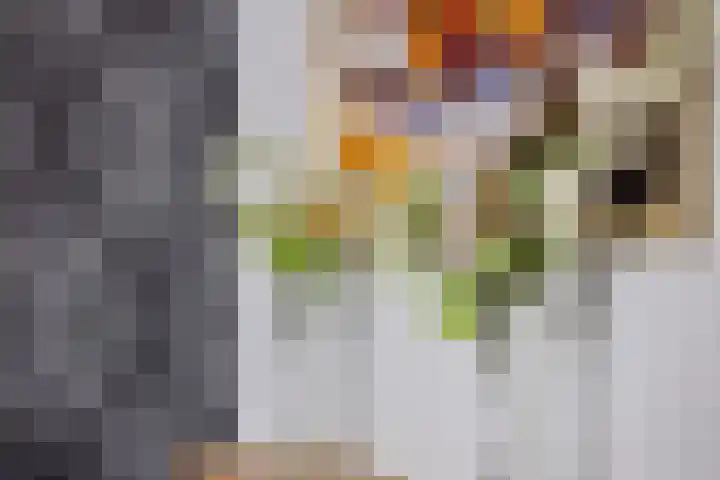 Kerkplein 35 Reusel thumbnail 33