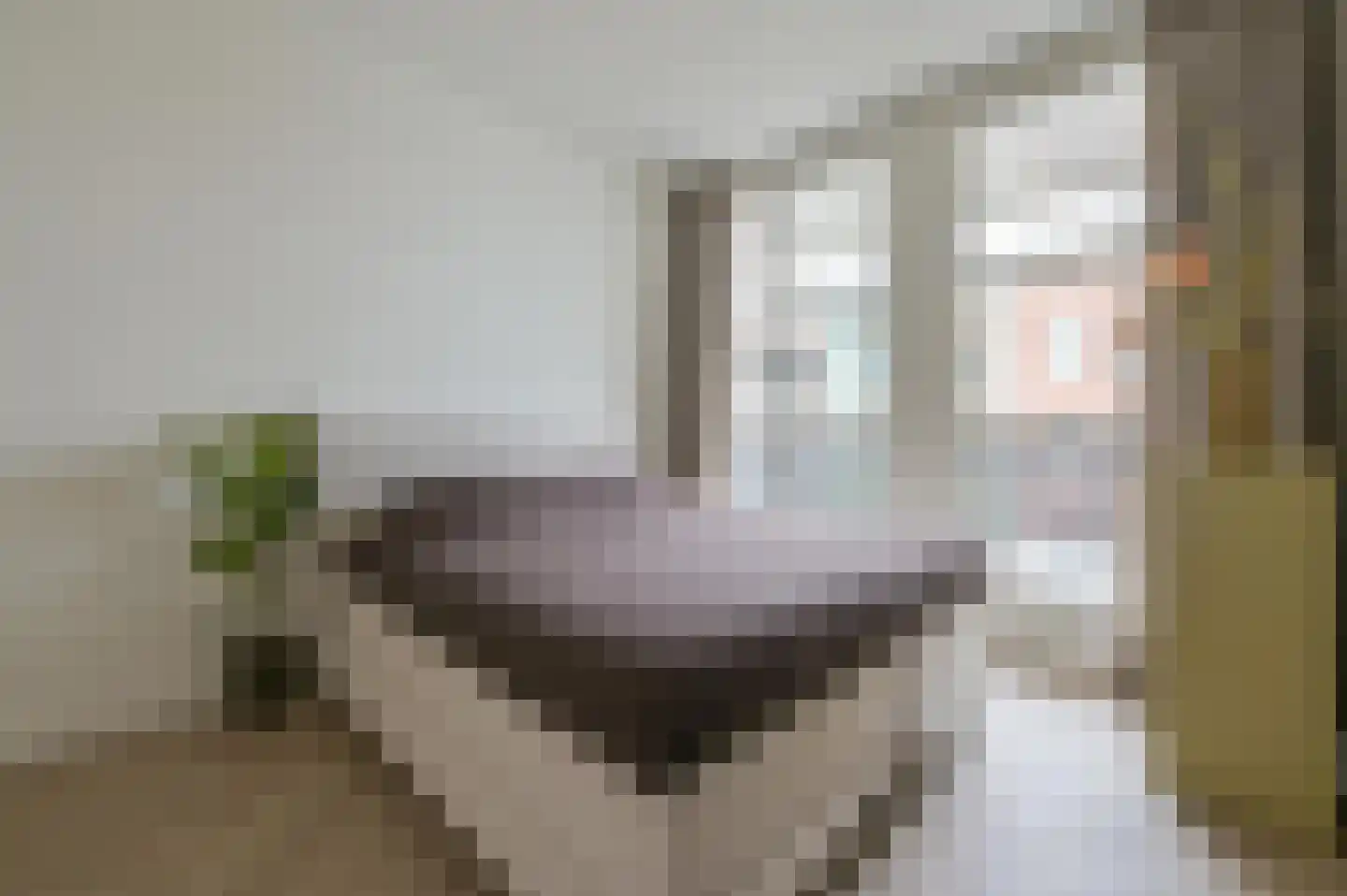 Kerkplein 4 D Putten thumbnail 19