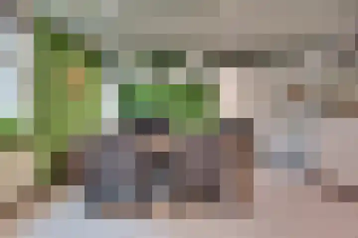 Kerkplein 4 Schelluinen thumbnail 11