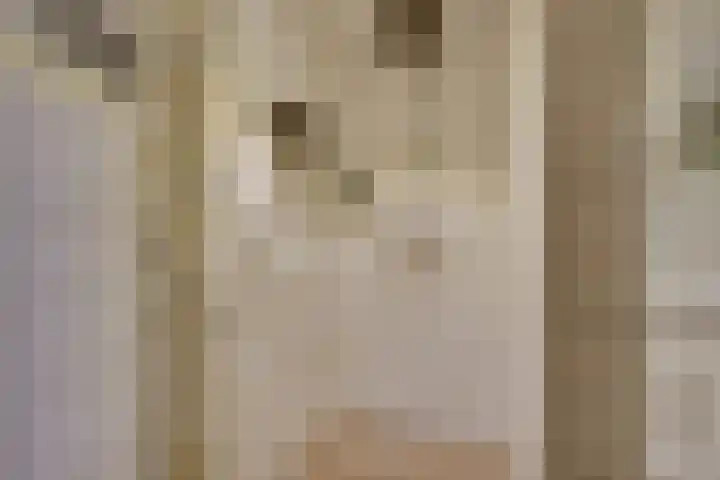 Kerkplein 4 Schelluinen thumbnail 14