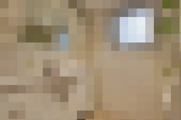 Kerkplein 4 Schelluinen thumbnail 15