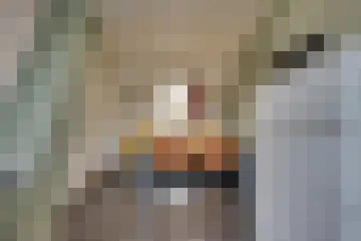 Kerkplein 4 Schelluinen thumbnail 23