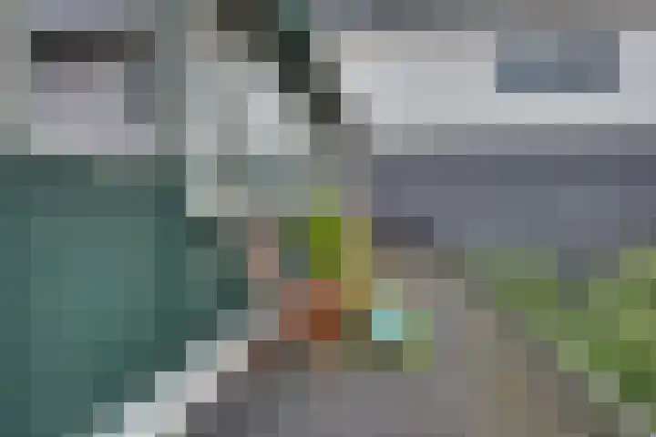 Kerkplein 4 Schelluinen thumbnail 28