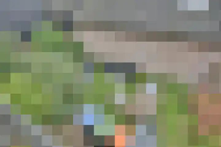 Kerkplein 4 Schelluinen thumbnail 29