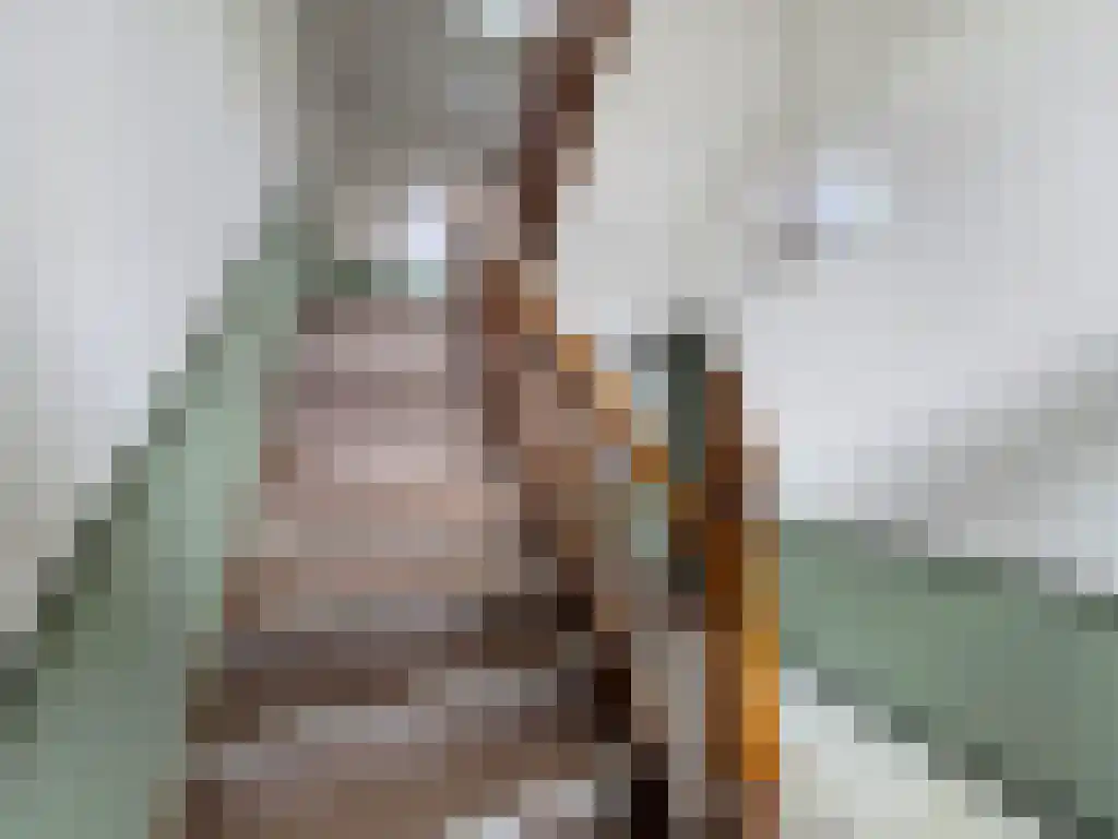 Kerkplein 5 e Geulle thumbnail 4