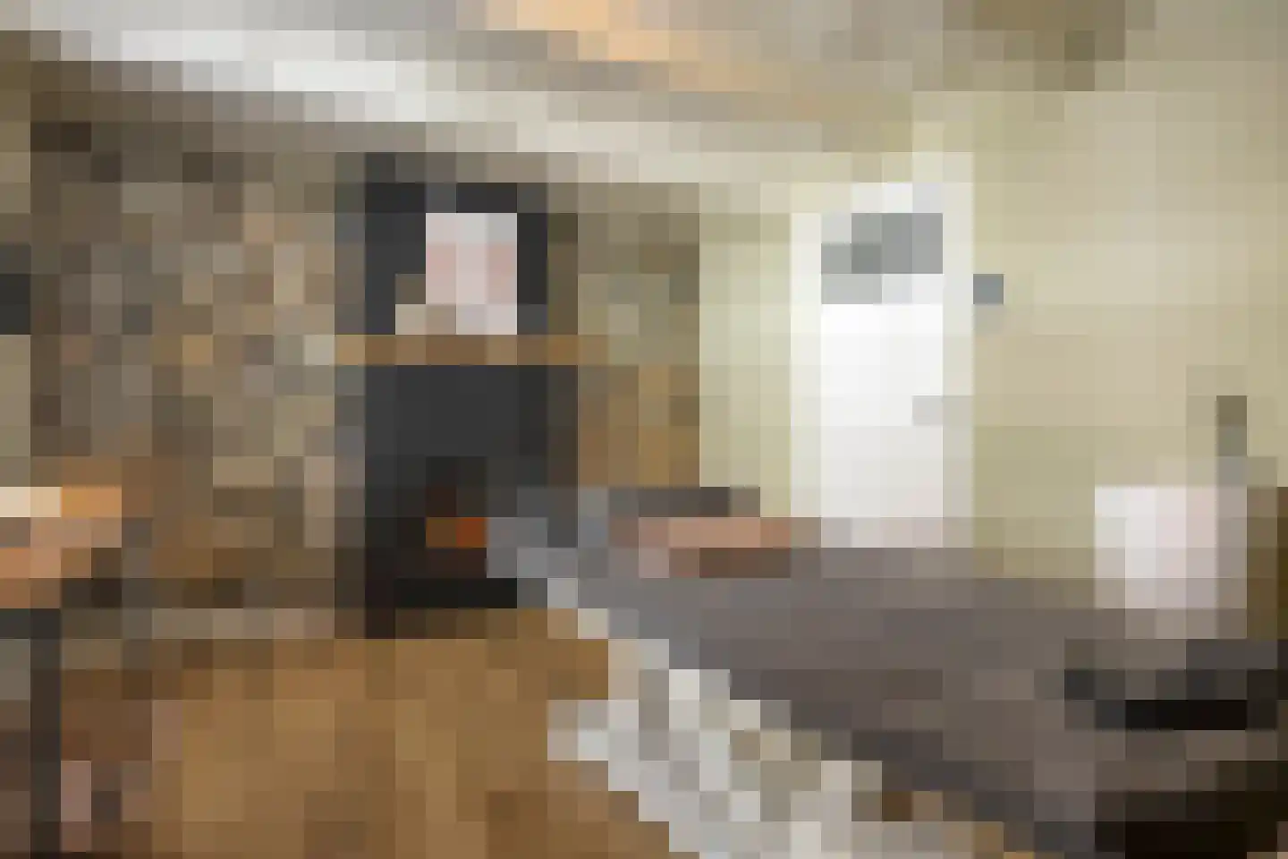 Kerkplein 5 Lekkerkerk thumbnail 9
