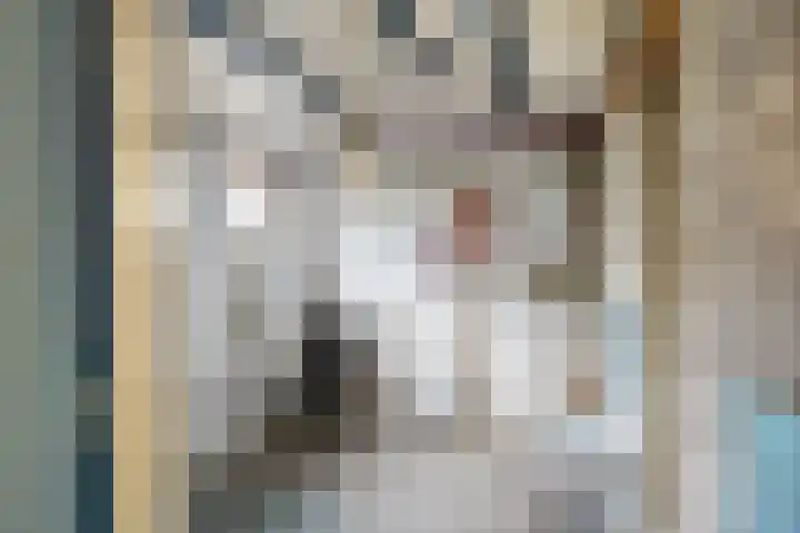 Kerkplein 6 Heinenoord thumbnail 16
